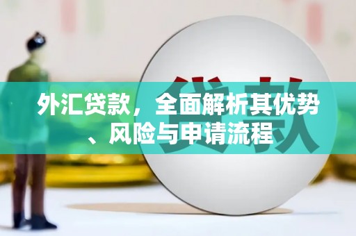 内蒙古外汇贷款，全面解析其优势、风险与申请流程