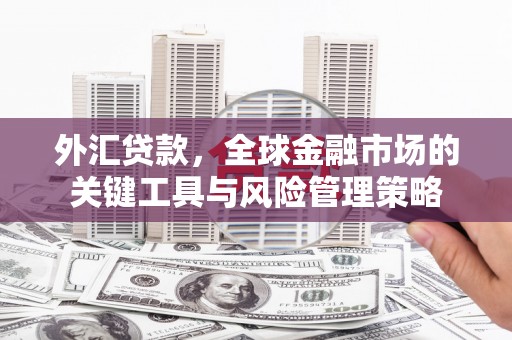 内蒙古外汇贷款，全球金融市场的关键工具与风险管理策略