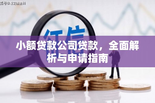 内蒙古小额贷款公司贷款，全面解析与申请指南