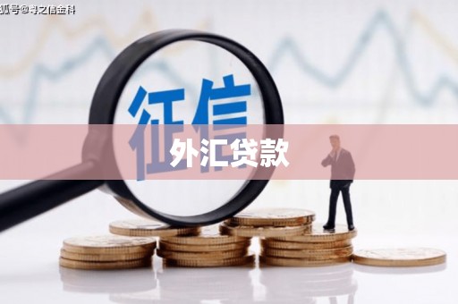 内蒙古外汇贷款