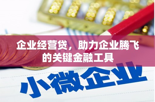 内蒙古企业经营贷，助力企业腾飞的关键金融工具