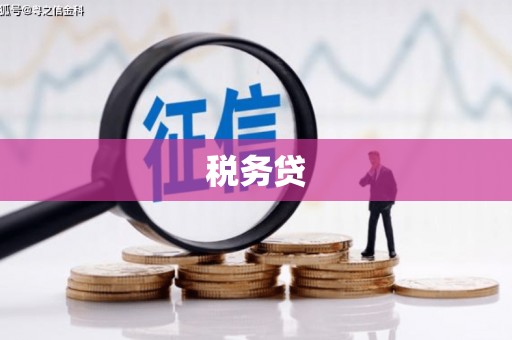 内蒙古税务贷