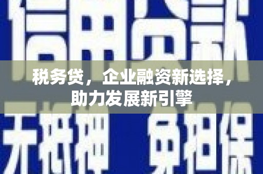 内蒙古税务贷，企业融资新选择，助力发展新引擎