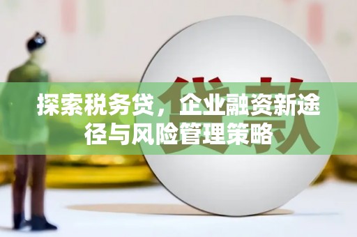 内蒙古探索税务贷，企业融资新途径与风险管理策略