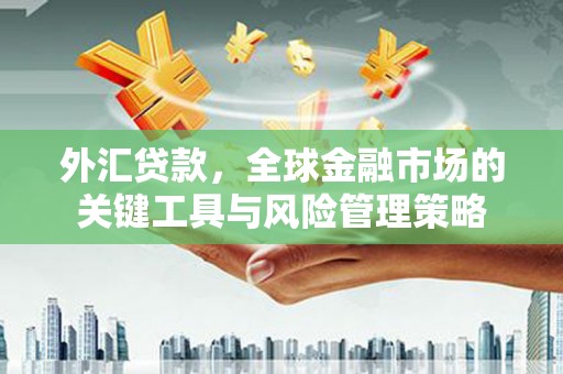 内蒙古外汇贷款，全球金融市场的关键工具与风险管理策略