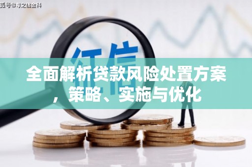 内蒙古全面解析贷款风险处置方案，策略、实施与优化