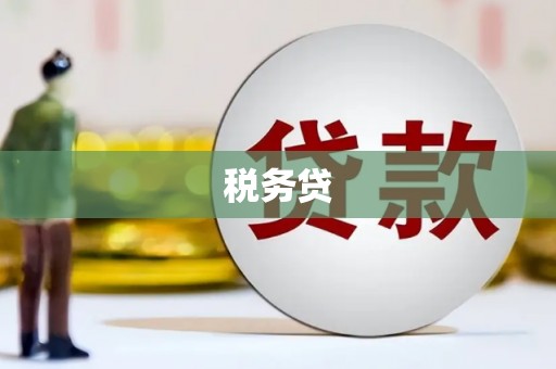 内蒙古税务贷