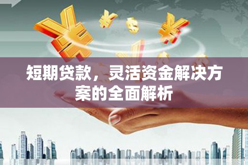 内蒙古短期贷款，灵活资金解决方案的全面解析