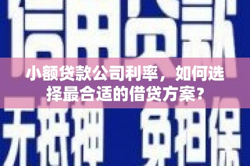 内蒙古小额贷款公司利率，如何选择最合适的借贷方案？