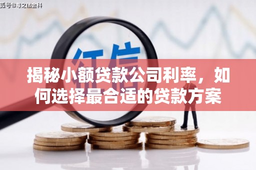 内蒙古揭秘小额贷款公司利率，如何选择最合适的贷款方案