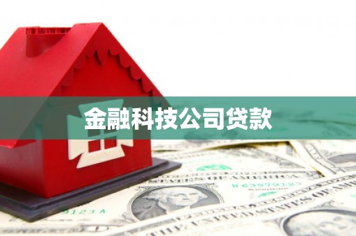 内蒙古金融科技公司贷款