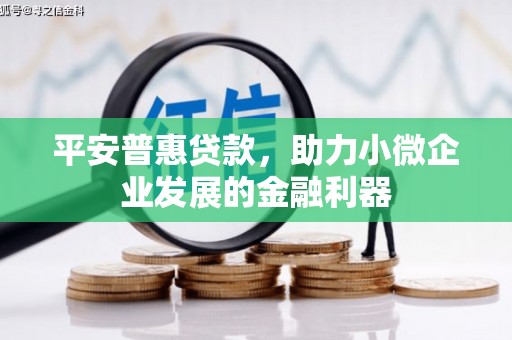 内蒙古平安普惠贷款，助力小微企业发展的金融利器