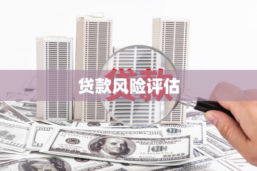 内蒙古贷款风险评估