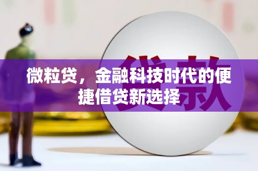 内蒙古微粒贷，金融科技时代的便捷借贷新选择