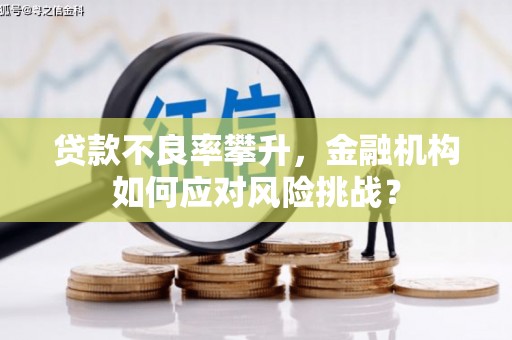 内蒙古贷款不良率攀升，金融机构如何应对风险挑战？