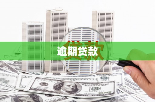 内蒙古逾期贷款